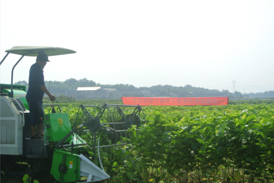 湖南省永利集团官网盛泰农业科技有限公司