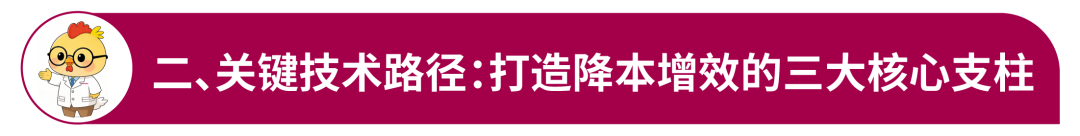 无抗条件下规模蛋鸡场综合降本增效实践路径