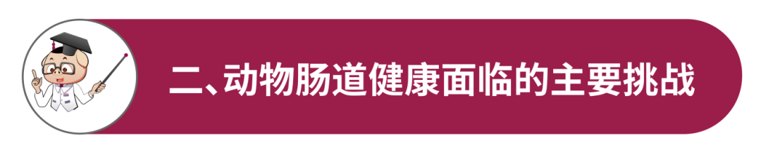 bd8aa4454195a14 配图-03.png