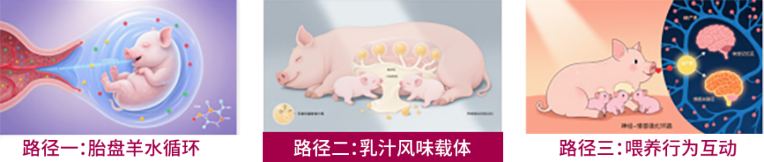 c4ab6d56837ac1e c4ab6d56837ac1e