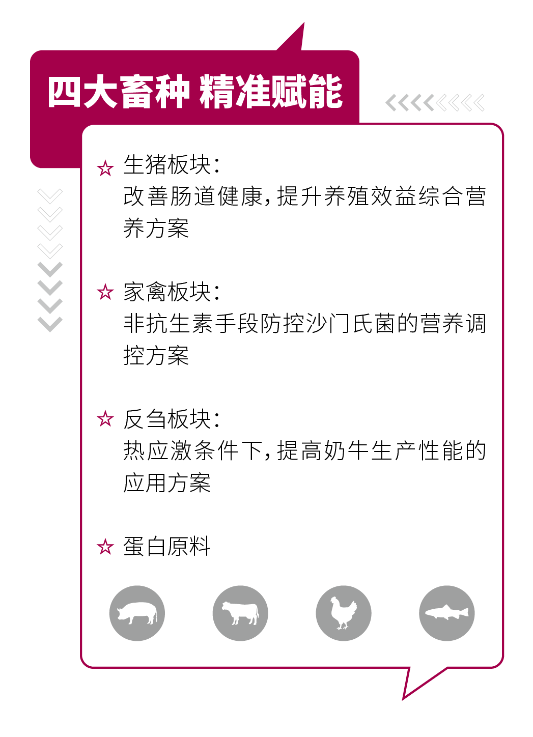 4241dc07f527438
