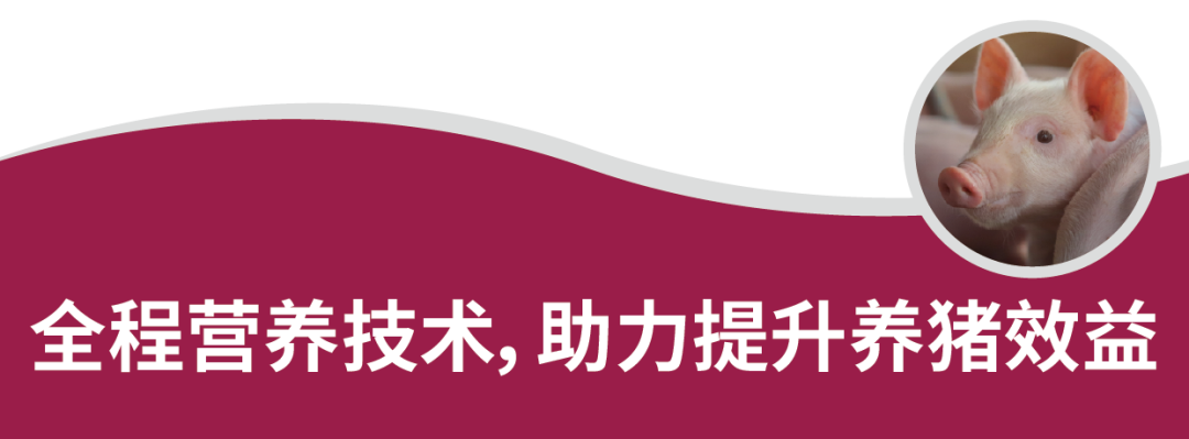 7093fa65970f42b 7093fa65970f42b
